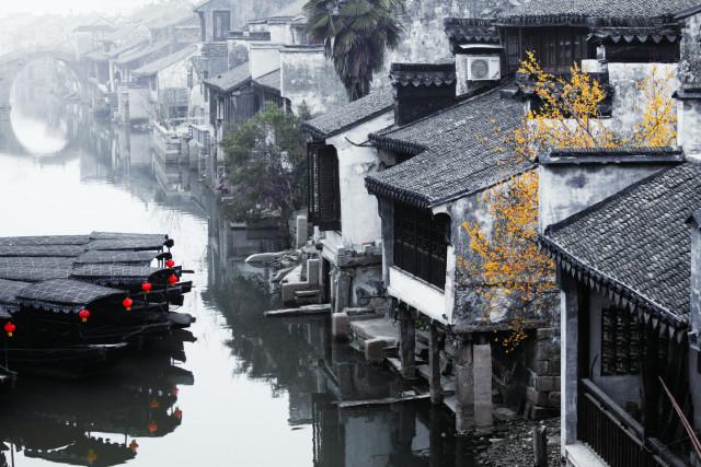 网球运动员营救